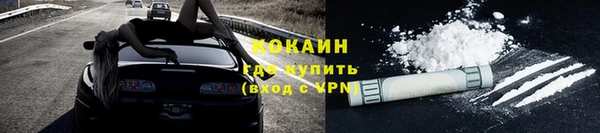 твердый Арсеньев