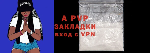твердый Арсеньев