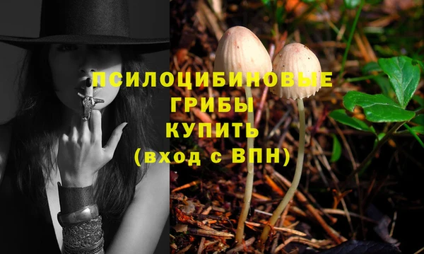 твердый Арсеньев