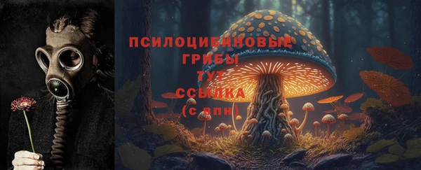 твердый Арсеньев