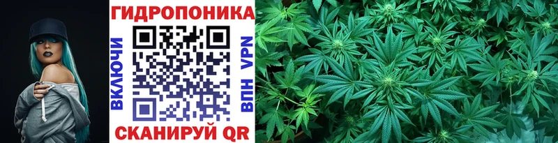 Каннабис Ganja Осинники